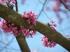 april2609 (31)